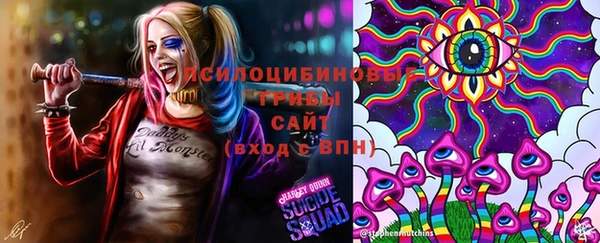 а пвп мука Корсаков
