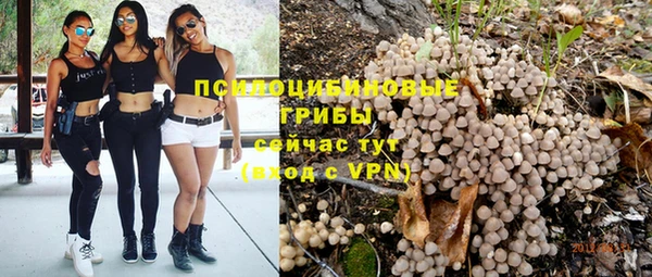 бошки Покровск