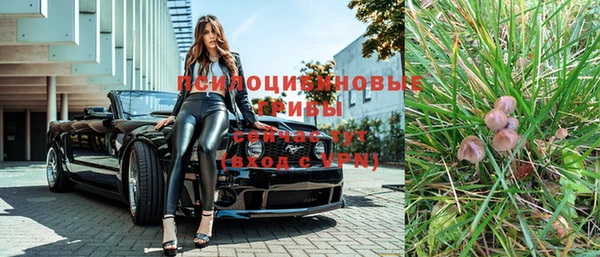 трава Кулебаки