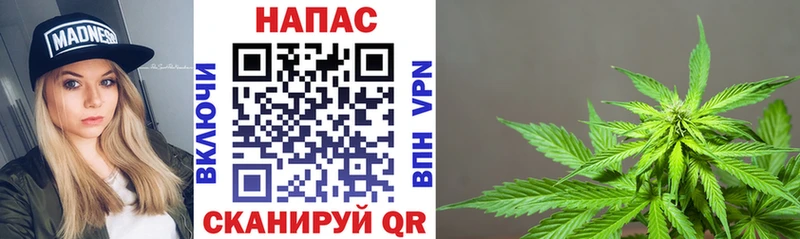 Каннабис Ganja Макушино